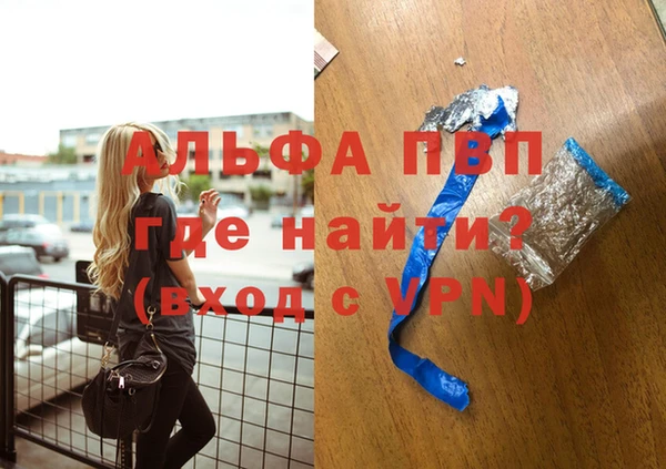 крисы Белокуриха