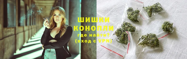 шишки Балахна
