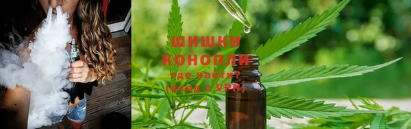 шишки Балахна