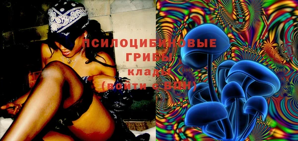 шишки Балахна